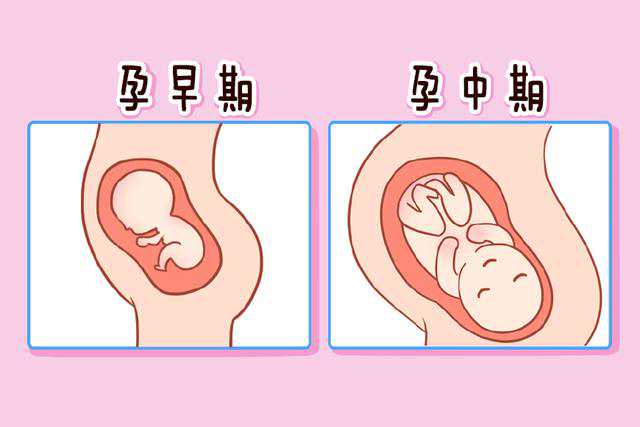 广州地下供卵试管婴