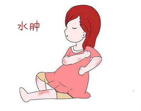 试管婴儿上海第三代试管婴儿医院排名大揭秘：助力您找到最适合自己的助孕机