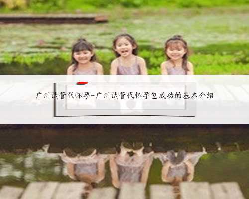 广州试管代怀孕-广州试管代怀孕包成功的基本介绍