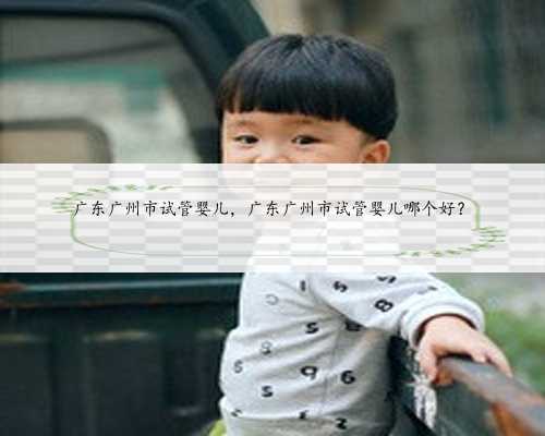 广东广州市试管婴儿，广东广州市试管婴儿哪个好？