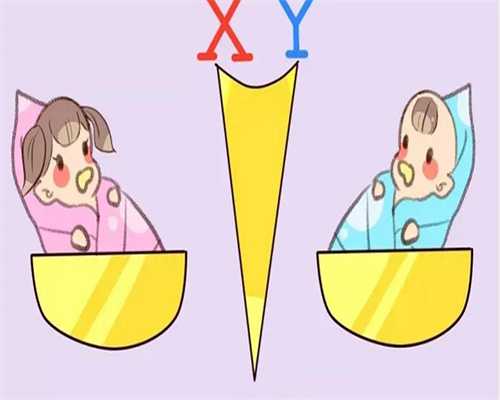 最佳代生网:人授和试管哪个成功几率高