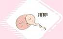 试管婴儿移植后会不会有身体反应？供卵试管婴儿的胚胎会被母体排斥吗？