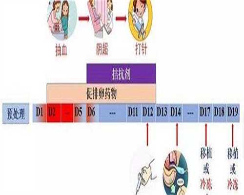 国内未婚单身能不能做试管婴儿