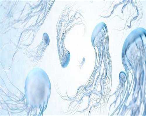 广州什么人适合试管婴儿