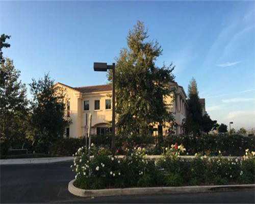 广州代怀孕过程-广州合法代怀价格表