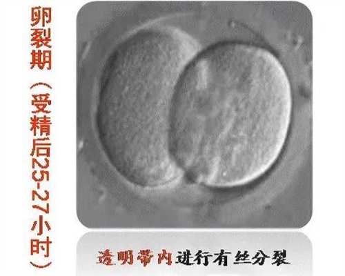 广东代生服务，，广东哪家做试管广东省妇幼三代试管婴儿费用[广东试管婴儿