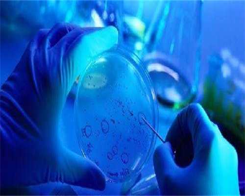 广州个人代孕电话-什么是广州试管代孕附睾？