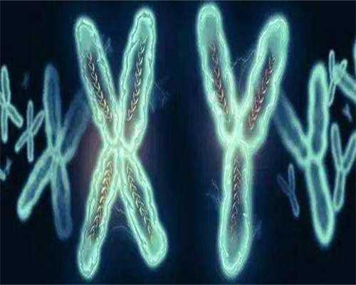 广东代怀收费-广州代怀孕联系方式