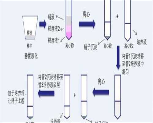 广州试管代生最好的医院排名