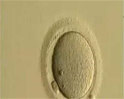 广州代生宝宝贵吗-广州正规试管代生价格