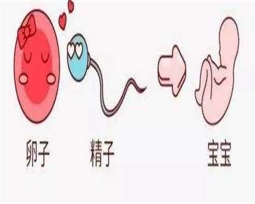 广州供卵代孕包男孩-供卵广州代孕价钱