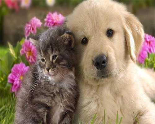 广州代生孩子可靠吗，广州吸脂减肥费用贵吗