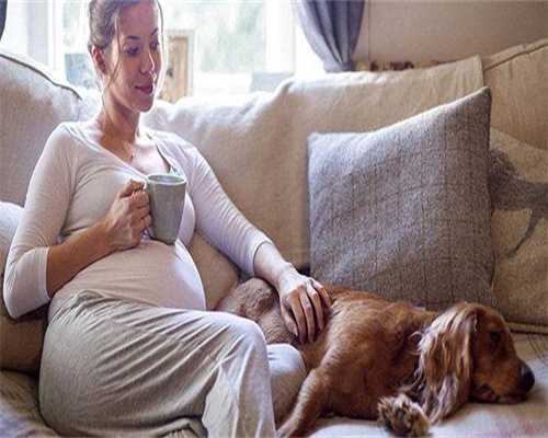 广州借卵试管私立机构，试管移植的费用是多少