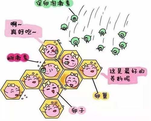 低血值真的没有奇迹