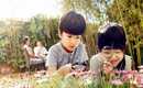 广州代生一个小孩多少钱，广州做三代试管的费用，要准备多少钱？