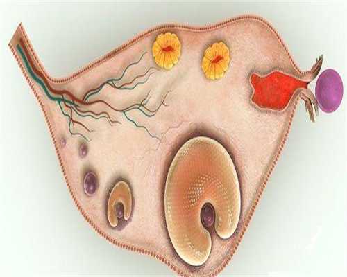 试管捐卵流程：做试管婴儿前需要做什么检查，试管婴儿前需要做哪些检查