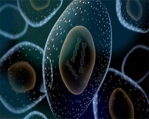 代生孩子：广州做一次第二代试管婴儿的费用大概是多少