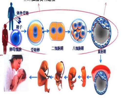 北大深圳医院试管婴儿费用明细分享，2026三代供卵试管价格表