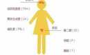 试管代生群：张掖子宫内膜严重损伤如何通过试管技术生孩子，子宫内膜严重损