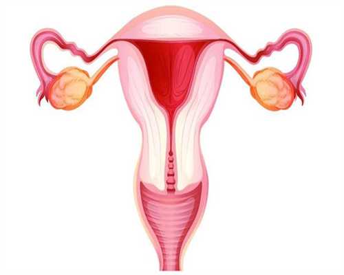 广州代生孩子包成，广州割双眼皮贵吗