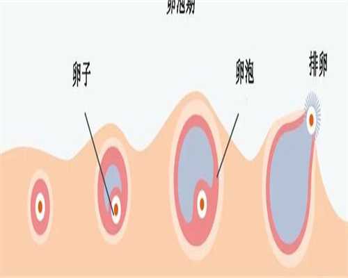 三代试管去广州还是珠海比较好