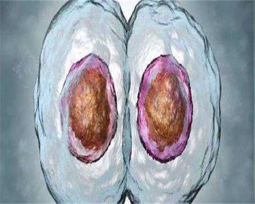 广州代生儿子，广州切眉哪家医院好