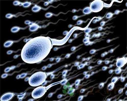 上海广州供卵助孕中心哪里好