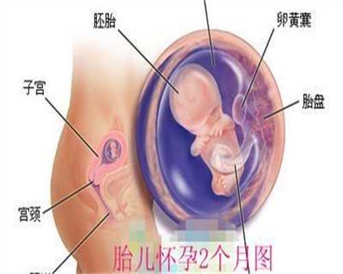 广州试管代怀多少钱，广州亲子鉴定要多少钱？