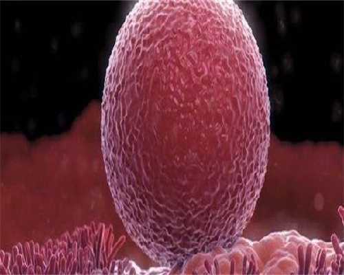 【正式爆料】助孕包生男孩？广州不孕不育试管助孕