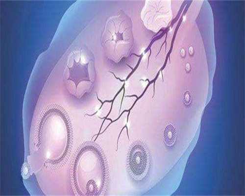 南京代生宝宝捐卵供卵,南京代生宝宝价格