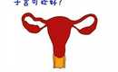<b>大龄试管婴儿成功的经验和建议</b>