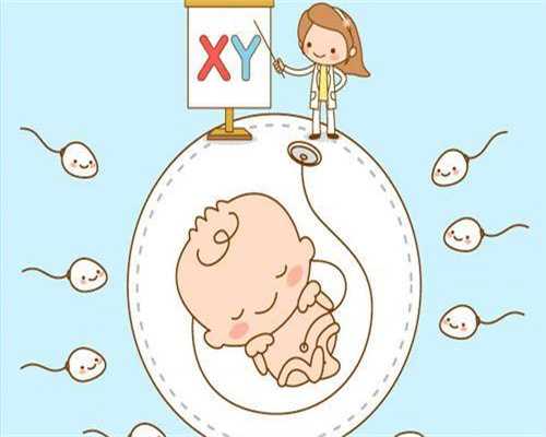 广州供卵代怀妈妈，广州试管代怀孕