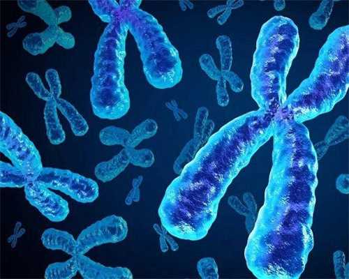 广州代生宝宝服务，广州二手房查册