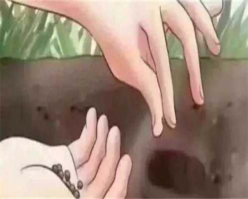 广州供卵代怀代生，广州试管代生技术的定义和原理