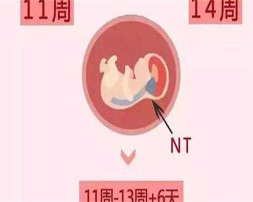 广州代孕实体公司，广州试管助孕公司（华诚助孕）