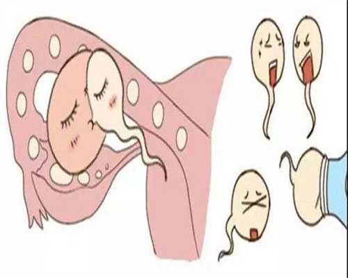 广州正规供卵试管医院与费用一样吗多少钱