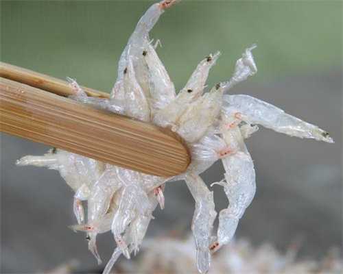 太原供卵代怀代生靠谱吗,供卵公司靠谱吗