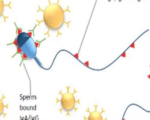 广州正规供卵机构联系方式（60万包成功）