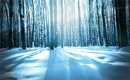 广州试管代怀排名，广州做试管婴儿麻烦吗广州试管需要提供哪些证明