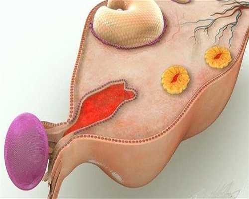 专业供卵网：宫外孕是什么，宫外怀孕多久能测出来？