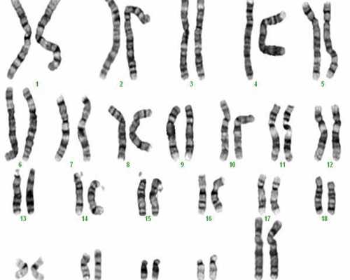 广州世纪供卵试管公立医院,广州供卵试管公立医院有哪些