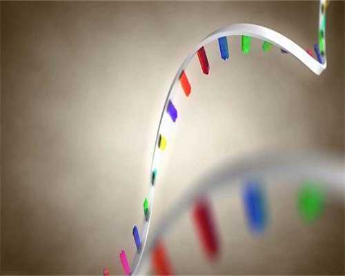 试管供卵推介广州三甲助孕赞