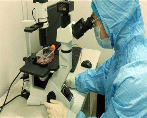 广州二胎供卵试管，广州供卵代怀试管代怀