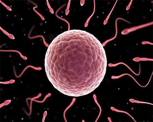 供卵试管婴儿品牌李广,广州供卵试管婴儿