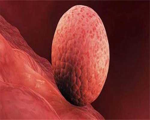 佛山代孕最价格低医院,广州捐卵试管代孕医院排名，附捐卵试管费用明细！