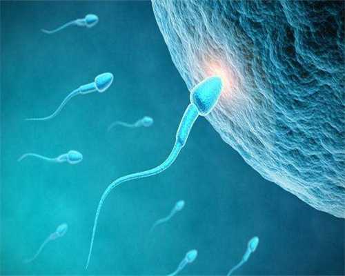 少精症做供卵试管成功率在这个数，男方精子差影响助孕