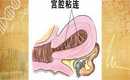 怎么找广州借腹生子中心，广州助孕机构-广州辅助生殖中心