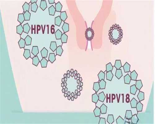 阴超查备孕，备孕做了阴超显示没有问题