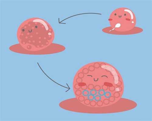 供卵广州美女,广州供卵试管婴儿