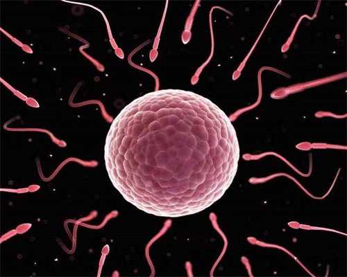 广州代生孩子成功-广州代生孩子成功的几率